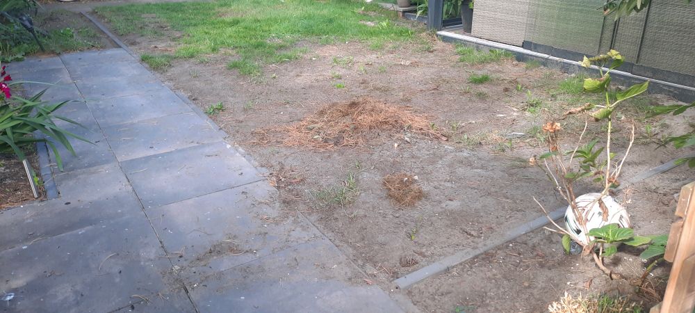 Tuin vóór de aanleg: kale grond met onkruid