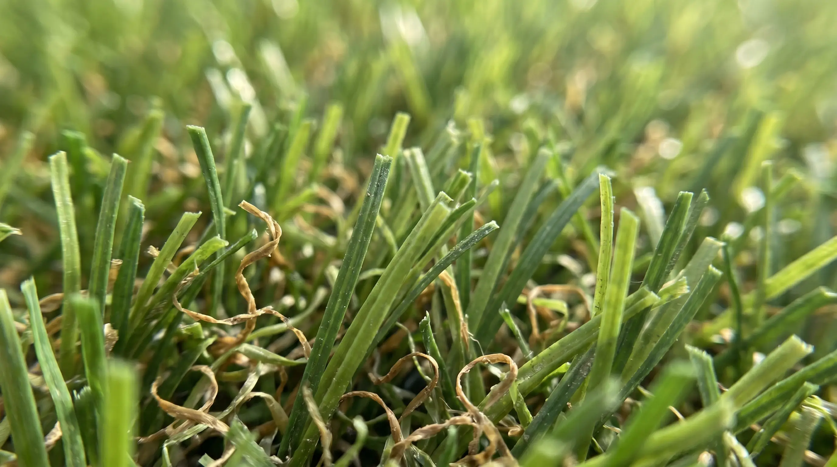 Close-up van kunstgrasvezels in verschillende groentinten met bruine mosdraadjes
