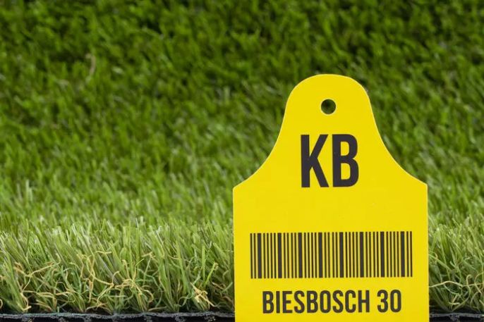 Biesbosch kunstgras