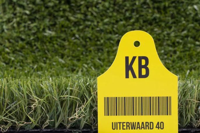 Uiterwaard